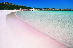 pink_beach