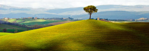 Tuscany-landscape-in-spring