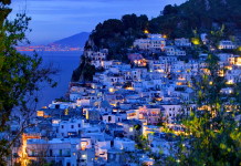 Images of Capri capri
