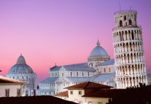 Images of Pisa pisa