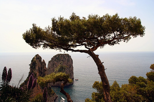 italy, capri, island