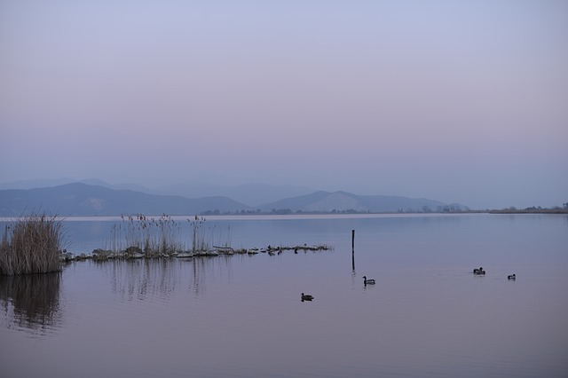 lake, viareggio, italy