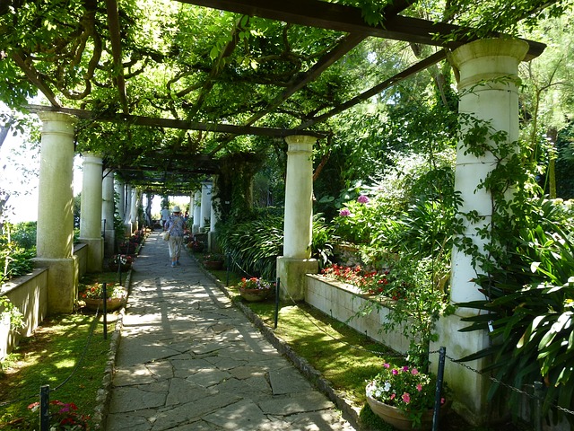 ravelló, phenomenal, gardens