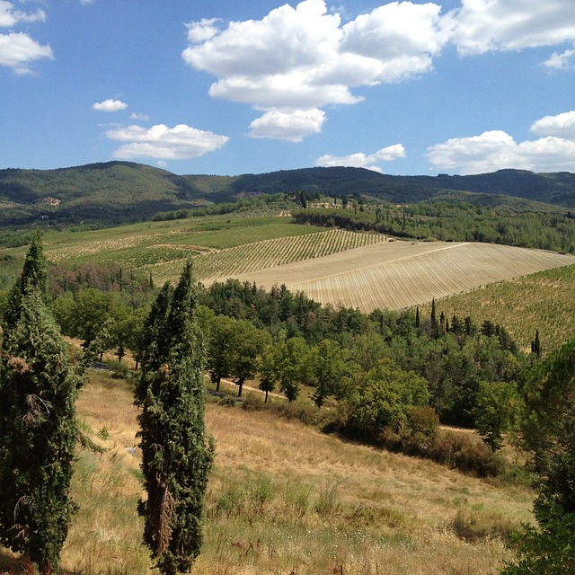 tuscany, field, landscape