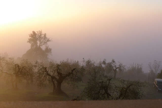 tuscany, landscape, country