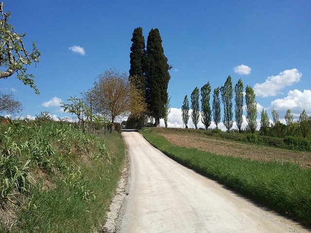 tuscany, tuscan landscape, italy