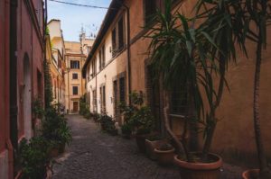 italian plants