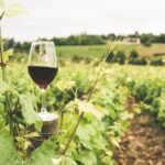 Fabulous Italian Biodynamic Wines to Try