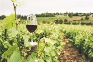 Fabulous Italian Biodynamic Wines to Try