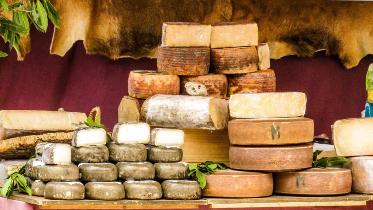 20 Most Famous Italian Cheeses: Origins, Tasting Tips, and Perfect Pairings