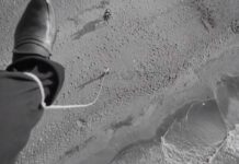 8½ (Otto e mezzo): Fellini Turns a Creative Crisis into Cinema