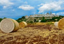 Puglia in Spring and Autumn: The Best Places Beyond Summer